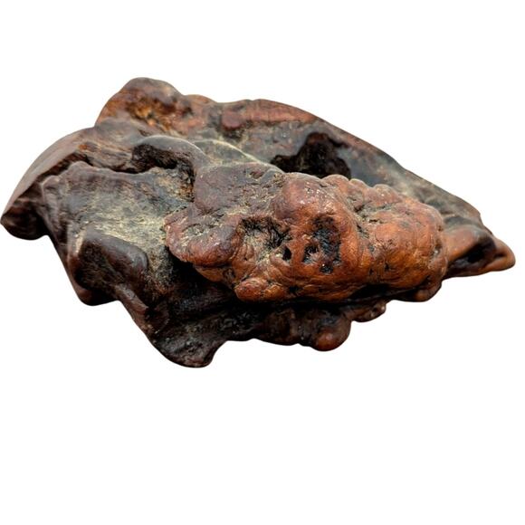 Beautiful Unique Piece of Petrified Wood MCM fossil mineral specimen healing - Picture 9 of 15